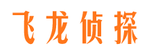 维扬市侦探公司